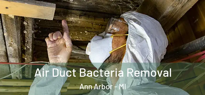 Air Duct Bacteria Removal Ann Arbor - MI