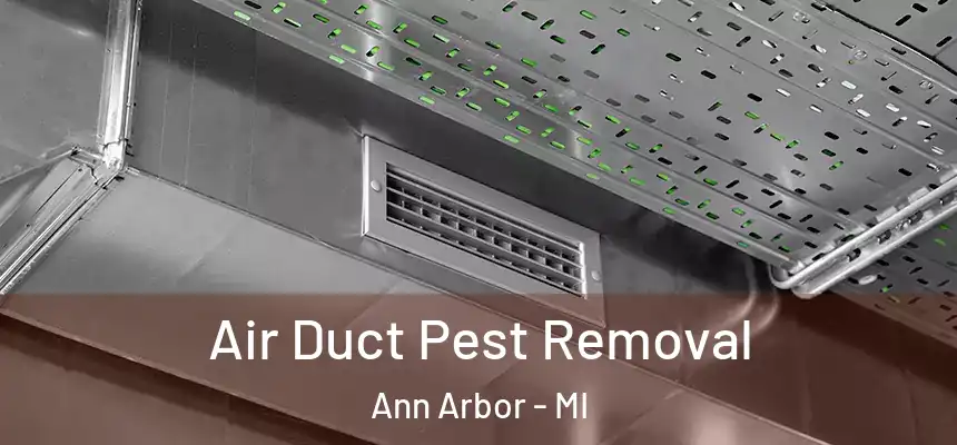  Air Duct Pest Removal Ann Arbor - MI