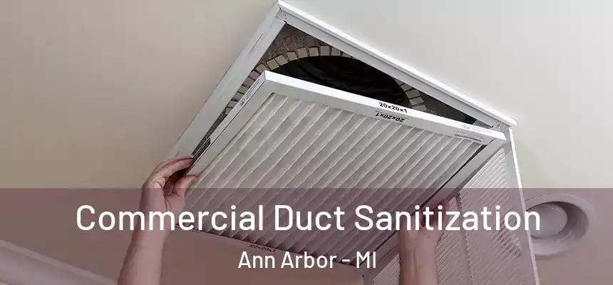  Commercial Duct Sanitization Ann Arbor - MI