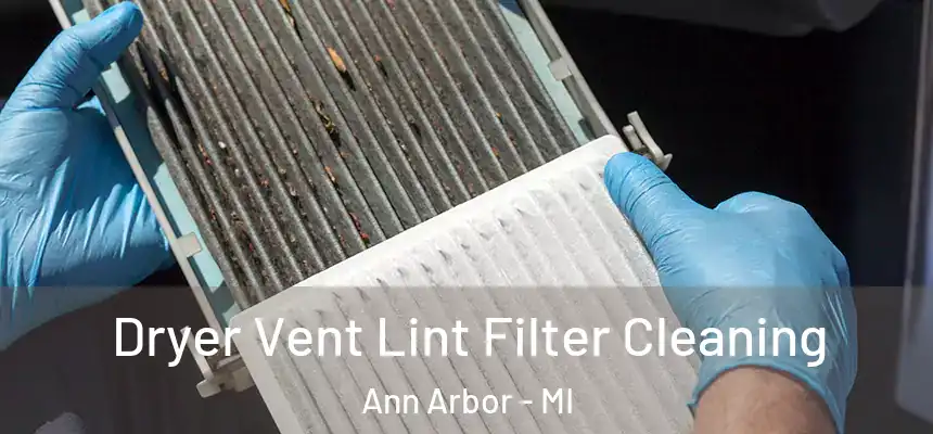  Dryer Vent Lint Filter Cleaning Ann Arbor - MI