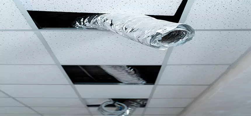 Our Air Duct Pet Hair Removal Services in Ann Arbor, MI