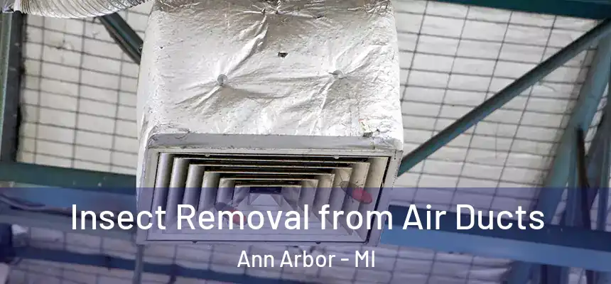  Insect Removal from Air Ducts Ann Arbor - MI