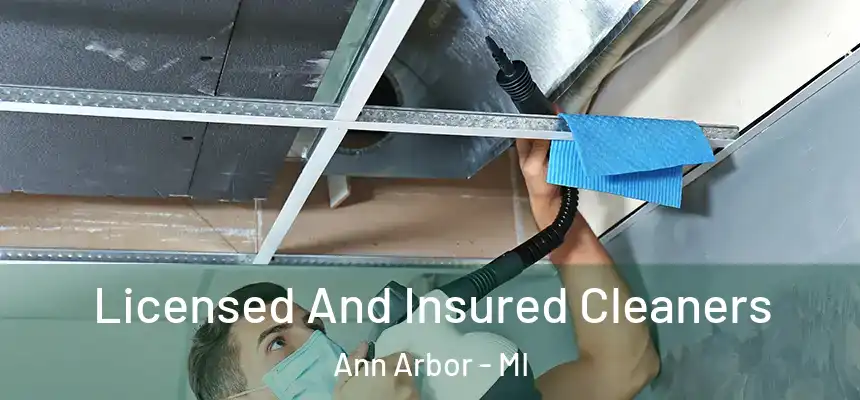  Licensed And Insured Cleaners Ann Arbor - MI