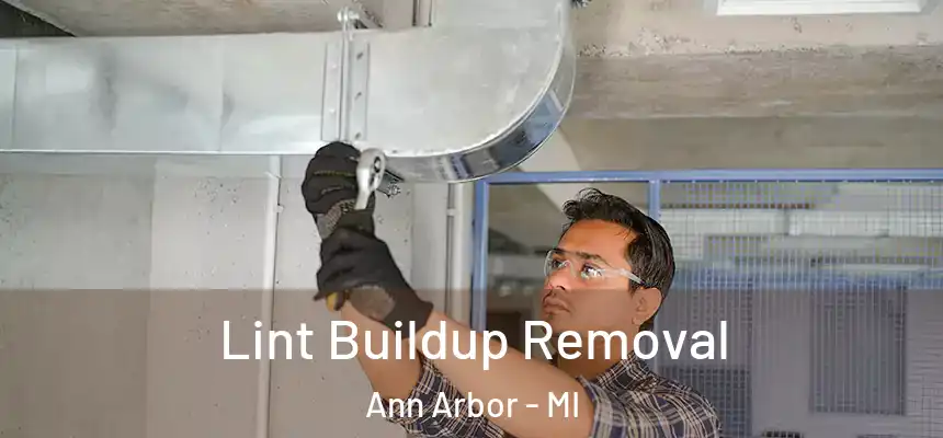  Lint Buildup Removal Ann Arbor - MI