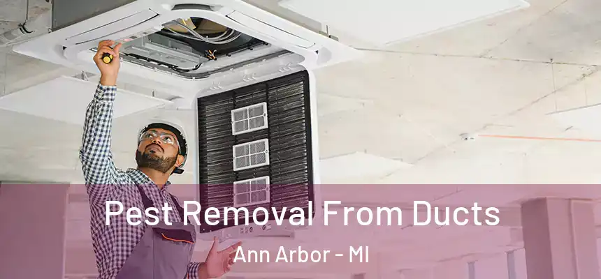  Pest Removal From Ducts Ann Arbor - MI