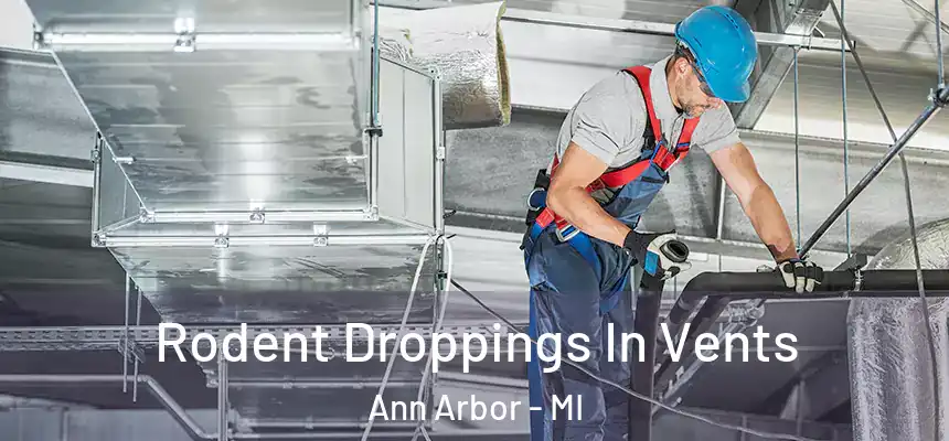  Rodent Droppings In Vents Ann Arbor - MI