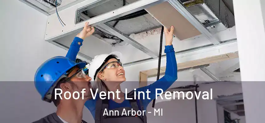 Roof Vent Lint Removal Ann Arbor - MI