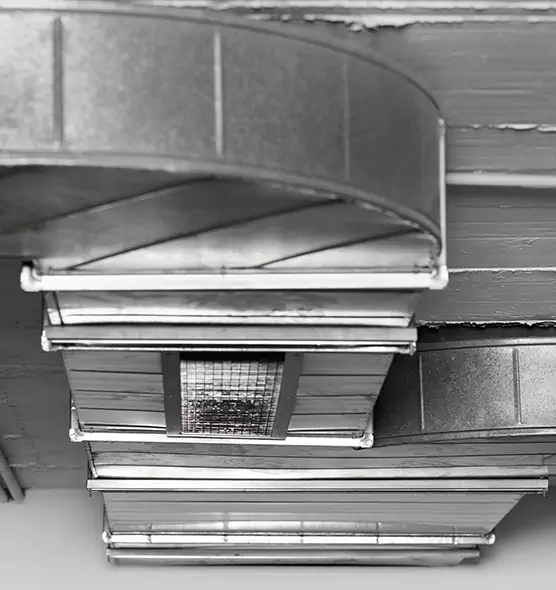 Professional Air Duct Pest Removal in Ann Arbor, MI