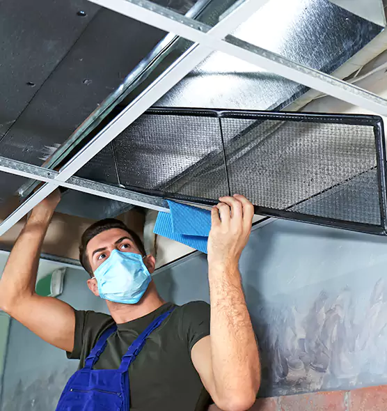 Professional Air Duct Pollen Cleaning in Ann Arbor, MI