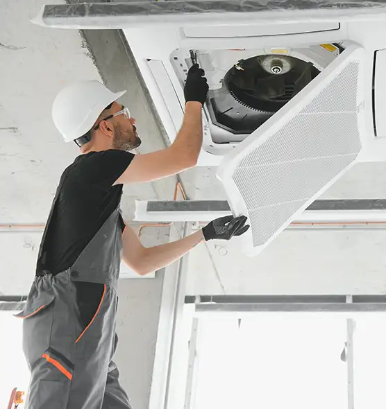 About Air Duct Rodent Removal in Ann Arbor, MI