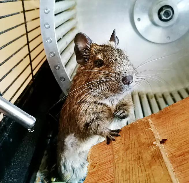 Why Homeowners & Businesses Trust Us Ann Arbor, MI