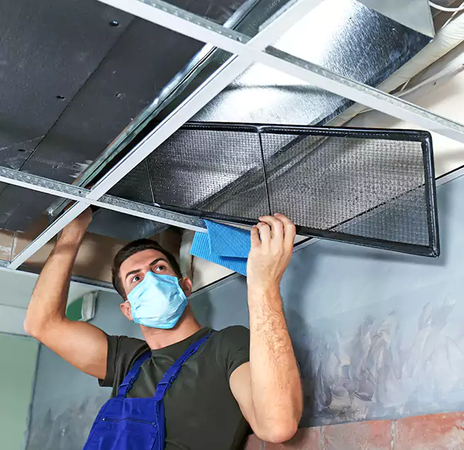 Why Homeowners Businesses Trust Us in Ann Arbor, MI